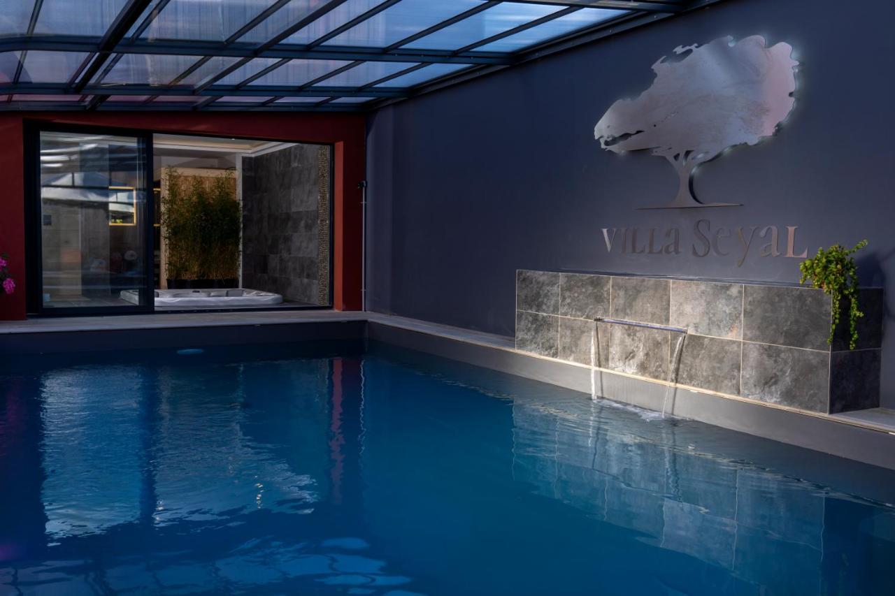 Villa Seyal - Avec Piscine - Jacuzzi - Sauna & Climatisation Le Mans Bagian luar foto