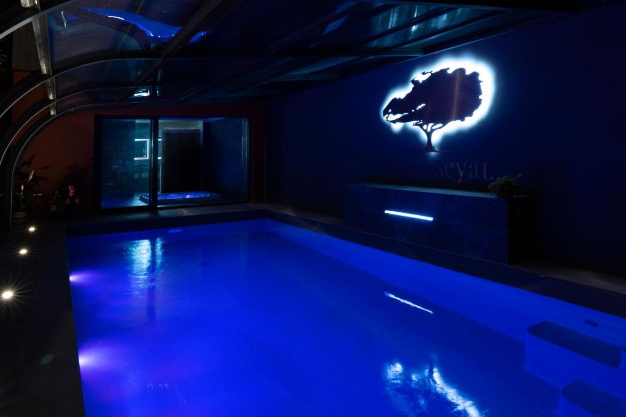 Villa Seyal - Avec Piscine - Jacuzzi - Sauna & Climatisation Le Mans Bagian luar foto